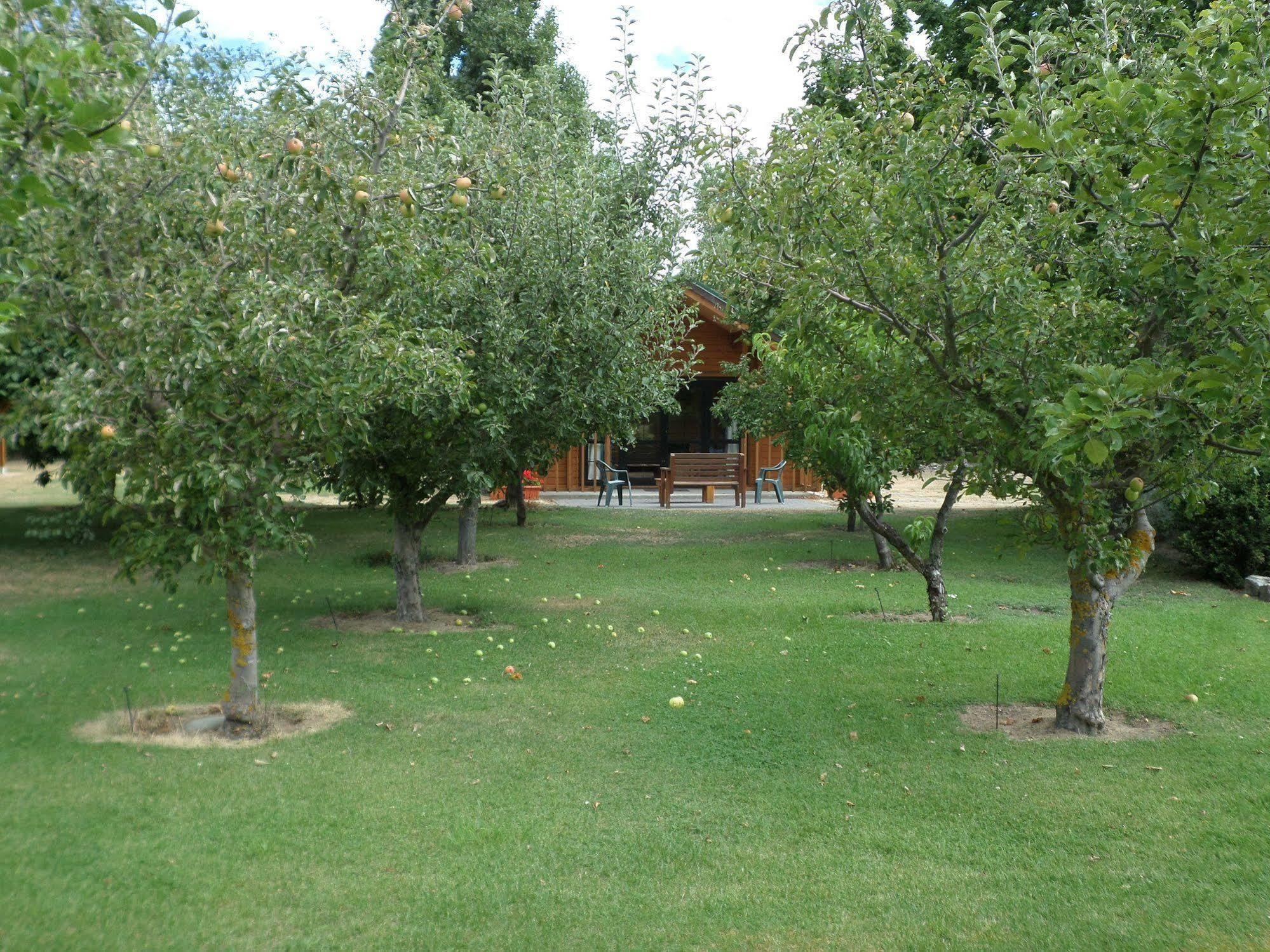Central Chalets Ltd Alexandra Exteriér fotografie